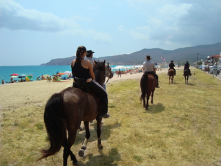 Indiana Jones Horse Tour